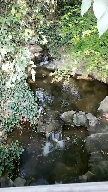 大富翁4